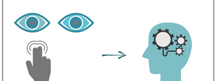 estimulo bilateral ocular